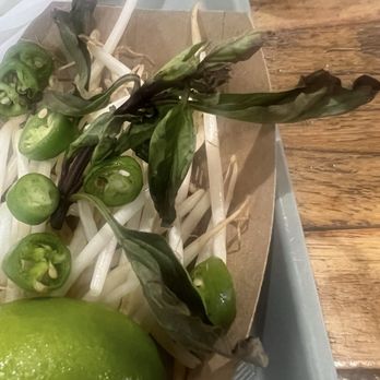 Brown colored wilted basil