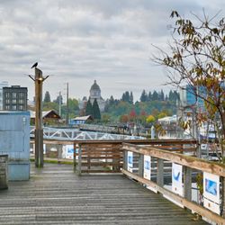 Percival Landing Park