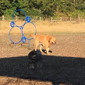 Cedar River Dog Park - Dog Parks Near Me - Renton, Washington Cedar River Dog Park - Dog Parks Near Me - Renton, Washington