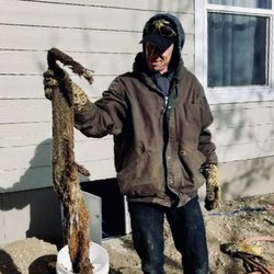 Best Value Plumbing & Rooter Service