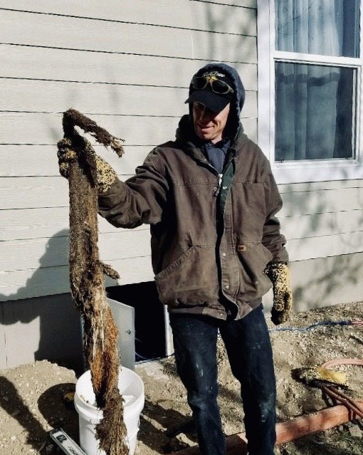 Slide of Best Value Plumbing & Rooter Service