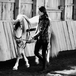 Pine Knoll Farm