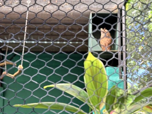 Kadoorie Farm and Botanic Garden by null