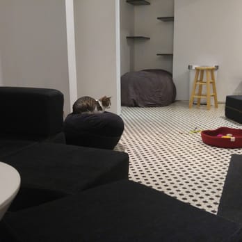 Koneko - Downstairs play area.  Very comfortable and spacious! - Breakfast & Brunch Near Me - New York, New York