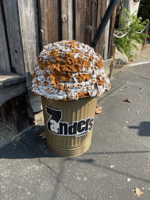 Zanders Coffee by null