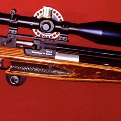 Duncans Gunmakers - Air Arms RN10