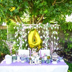 Ambience Picnics & Parties