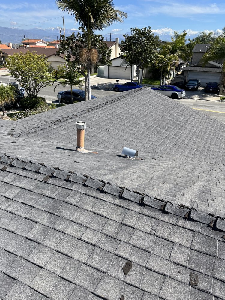 Slide of Oscar & Rosa