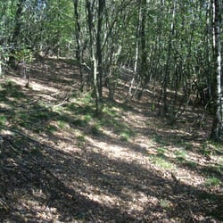 Wallburg Ambrock