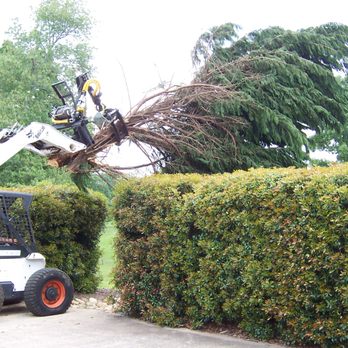 Bear's Insured Tree Service - Tree Services Near Me - Hull, Georgia Bear's Insured Tree Service - Tree Services Near Me - Hull, Georgia
