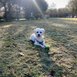Longmeadow Park