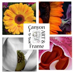 Canyon Creek Art and Frames