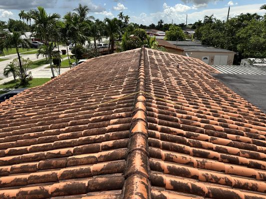 Miami Roof Cleaning Services