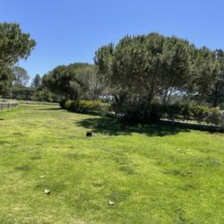 WOOF Pac off-leash Dog Park