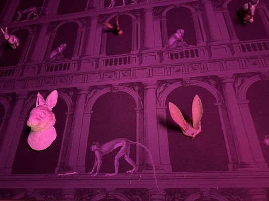 The Dirty Rabbit Wynwood by null