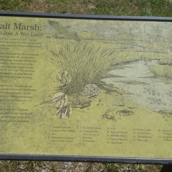 Uncle Tim's Bridge - Marsh wild life - Hiking Near Me - Wellfleet, Massachusetts