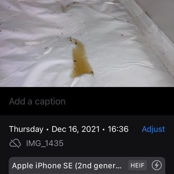 Five County Specialists - Sealing crawl space with urine that leaked down from the floor above. - Real Estate Services Near Me - Zebulon, North Carolina