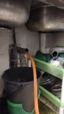 Zoo Negara Malaysia by null