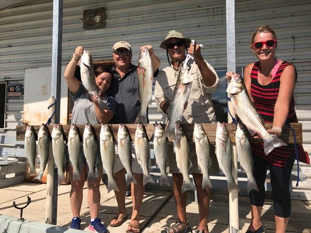 Lake Whitney Striper Fishing Guide Service Logo