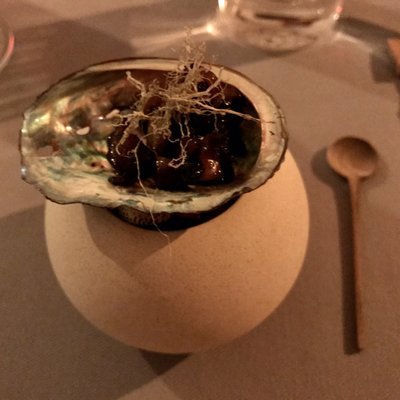 Honey Badger by null Honey Badger by null