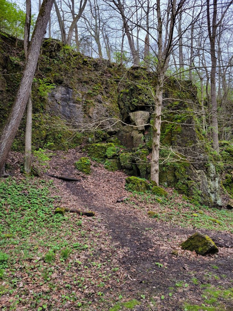 PAINT CREEK LAKE US ARMY CORPS OF ENGINEERS 14 Photos Parks 504
