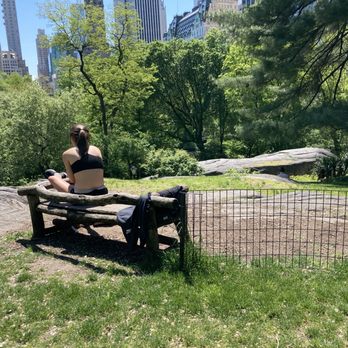 Cop Cot - Benches in the sun nearby. 05/15/21 - Parks Near Me - New York, New York