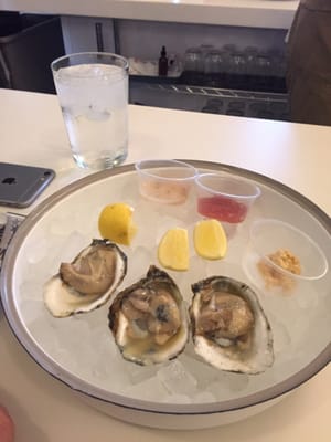 W. H. Stiles Fish Camp by null