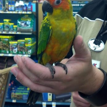 Petco - He's from hawaii - Pet Training Near Me - Beaumont, California