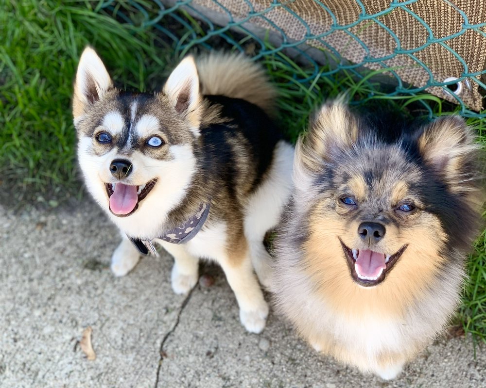 FROM HEAD TO TAIL Updated April 2024 15 Photos & 13 Reviews 3816