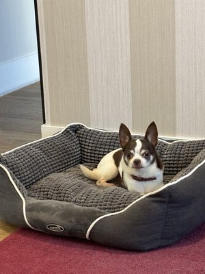 Hotel NH Collection Marseille by null