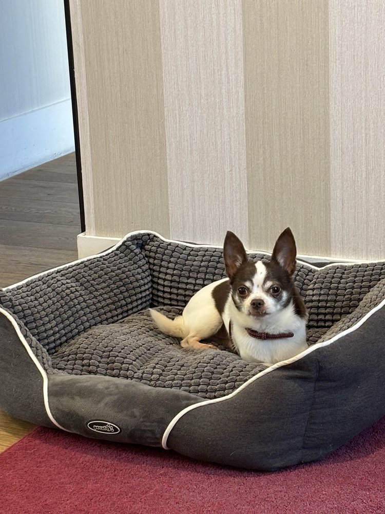 Hotel NH Collection Marseille