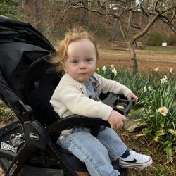 Raleigh Rose Garden