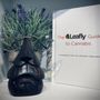 Photo of Sunfroot Cannabis Dispensary
