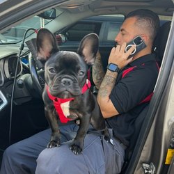 JG Auto Care - We love pets!! Bring the doggies and we'll love all over them!