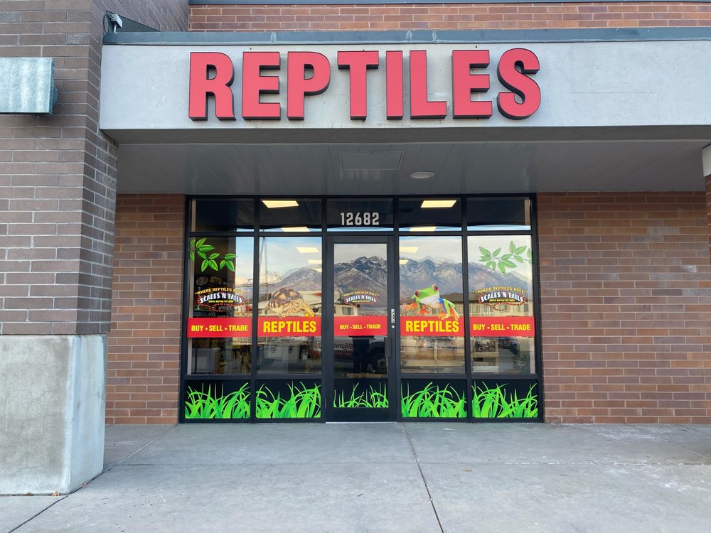 SCALES EXOTIC REPTILES PET SHOP RIVERTON Updated September 2024