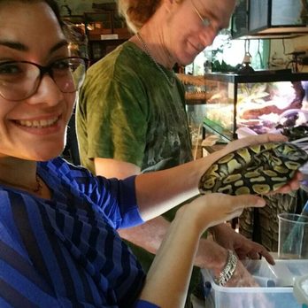 Earth Echoes - Pet Stores Near Me - Toronto, Ontario