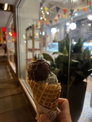 Jeni's Splendid Ice Creams by null