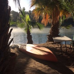 Ignacio Springs - Fog on the morning San Ignacio river with fish swimming about and date trees growing as far as the eye can see