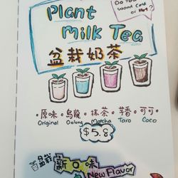 Tea Plus