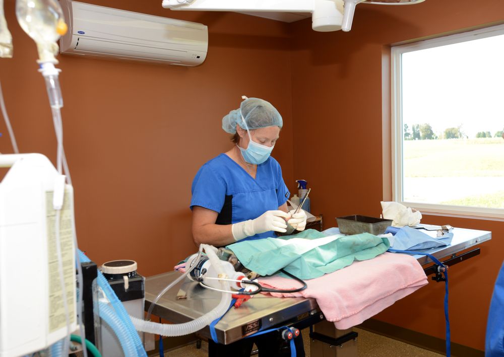 LANCASTER VETERINARY CLINIC 71 Photos 222 S Roosevelt St, Lancaster