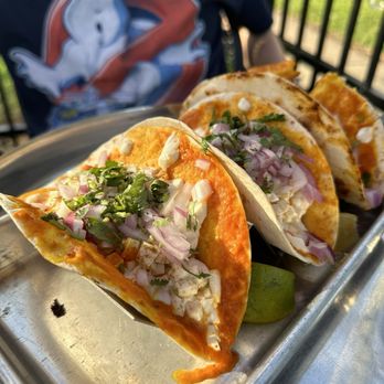 Darbar India - Lamb tacos - Indian Near Me - Branford, Connecticut