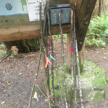 Cape Flattery - Walking sticks provided at top of trail. - Hiking Near Me - Neah Bay, Washington Cape Flattery - Walking sticks provided at top of trail. - Hiking Near Me - Neah Bay, Washington