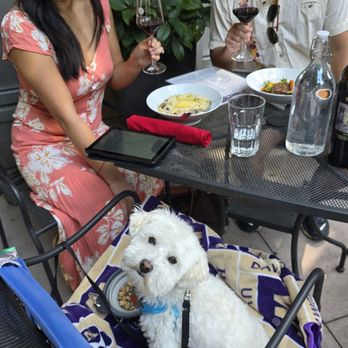Love a good dog friendly patio