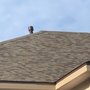 Photo of Tx Modern Contracting