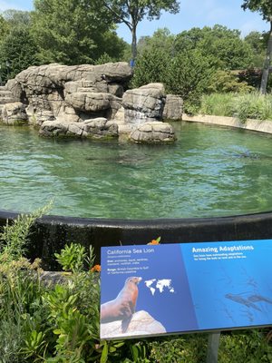 Prospect Park Zoo by null