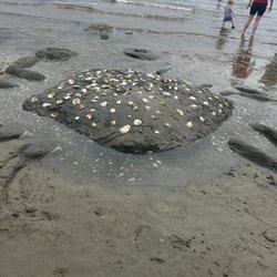 Milford Beach