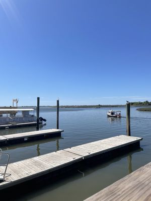 Fishy Fishy Cafe by null