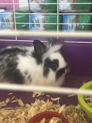 rudy's pet shop & feed store