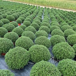 Reiff's Nursery & Greenhouses