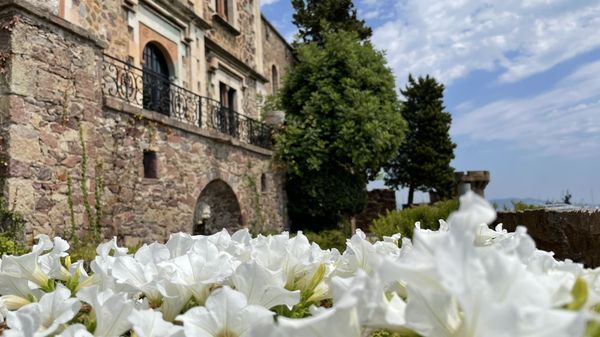 Château de la Napoule by null